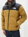 Спортивный мужской пуховик The North Face 1996 Retro Nuptse