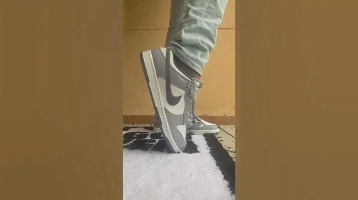 DUNK LOW LIGHT CARBON ON FEET